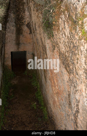 L'Armeni de nekropolis était un cimetière Minoen tardif dans un chêne forêt dans les montagnes de la Crète avec plus de 230 tombes de chambre creusée dans le calcaire. Banque D'Images