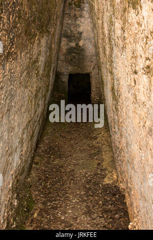 L'Armeni de nekropolis était un cimetière Minoen tardif dans un chêne forêt dans les montagnes de la Crète avec plus de 230 tombes de chambre creusée dans le calcaire. Banque D'Images