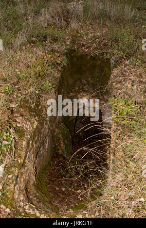 L'Armeni de nekropolis était un cimetière Minoen tardif dans un chêne forêt dans les montagnes de la Crète avec plus de 230 tombes de chambre creusée dans le calcaire. Banque D'Images