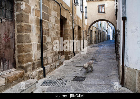 Rue typique de la ville du patrimoine mondial à Baeza, Barbacana rue à côté de la tour de l'horloge, Baeza, Espagne Banque D'Images