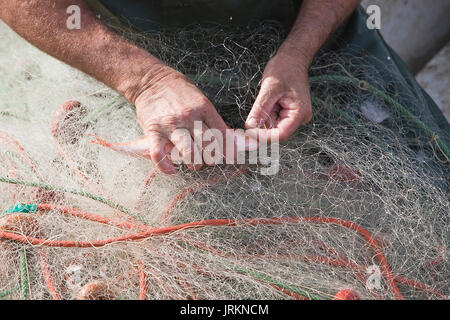 Prendre un poisson marin de leurs filets de pêche dans le port d'Estepona, province de Malaga, Espagne Banque D'Images