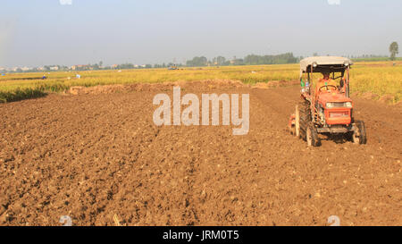 HAI Duong, Vietnam, septembre, 29 : rouge tracteur sur le terrain travaillant sur des terres, 29 septembre, 2014 à Hai Duong, Vietnam. Banque D'Images