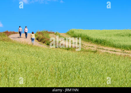 Sienne, ITALIE - 21 MAI 2017 - Trois personnes à pied le long d'un chemin de terre entouré de champs verts et bleu ciel. Banque D'Images