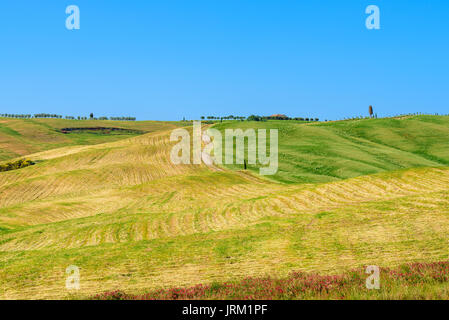 PIENZA, ITALIE - 21 MAI 2017 - Vue de nature idyllique de la zone naturelle de Val d'Orcia, Toscane dans la saison du printemps. Banque D'Images