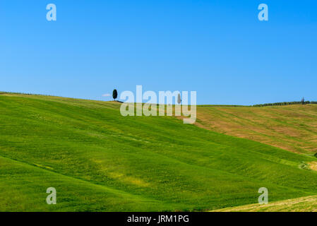 PIENZA, ITALIE - 21 MAI 2017 - Vue de nature idyllique de la zone naturelle de Val d'Orcia, Toscane dans la saison du printemps. Banque D'Images