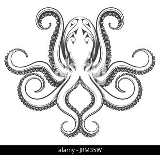 Octopus dessiné dans le style vintage de gravure. Vector illustration isolé sur fond blanc. Illustration de Vecteur