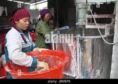 Haiduong, Vietnam, Février, 10 personnes : Kudzu traitement sur la farine, Février 10, 2015 à Hai Duong, Vietnam Banque D'Images