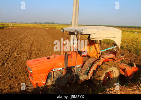 HAI Duong, Vietnam, septembre, 29 : rouge tracteur sur le terrain travaillant sur des terres, 29 septembre, 2014 à Hai Duong, Vietnam. Banque D'Images