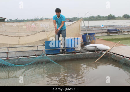 HAI Duong, Vietnam, novembre, 18 : les pêcheurs et les poissons dans la ferme sur la rivière, 18 novembre 2014 à Hai Duong, Vietnam. Banque D'Images