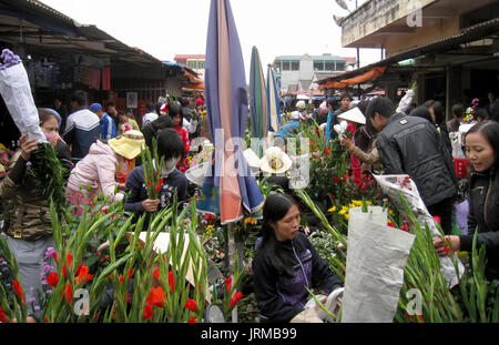 HAI Duong, Vietnam, septembre, 5 : les gens achètent des fleurs sur 5 Septembre, 2013 à Hai Duong, Vietnam Banque D'Images