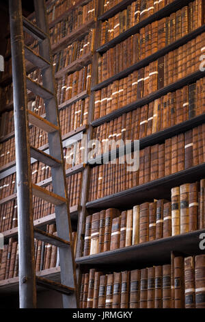 Bibliothèque vintage avec de vieilles étagères de livres anciens et d'une échelle en bois. Banque D'Images