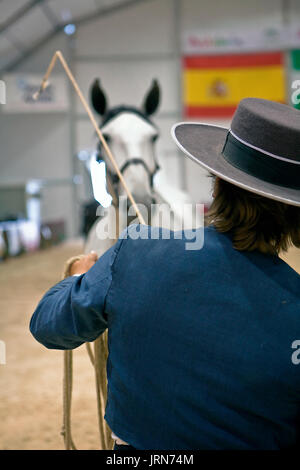 Test de la morphologie d'equitation chevaux espagnols pure, Espagne Banque D'Images