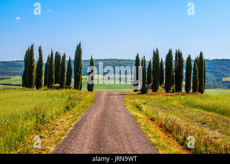 PIENZA, ITALIE - 21 MAI 2017 - Vue de nature idyllique de la zone naturelle de Val d'Orcia, Toscane dans la saison du printemps. Banque D'Images