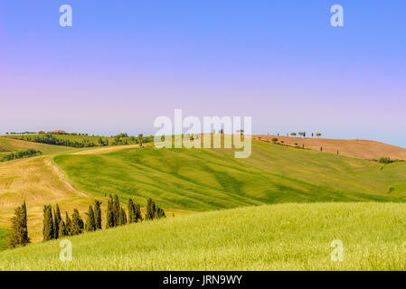 PIENZA, ITALIE - 21 MAI 2017 - Vue de nature idyllique de la zone naturelle de Val d'Orcia, Toscane dans la saison du printemps. Banque D'Images