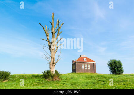 Petite maison de brume et de tronc d'arbre mort au vieux port de l'ancienne île de Schokland, Noordoostpolder en province de Flevoland, Pays-Bas Banque D'Images