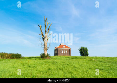 Petite maison de brume et de tronc d'arbre mort au vieux port de l'ancienne île de Schokland, Noordoostpolder en province de Flevoland, Pays-Bas Banque D'Images