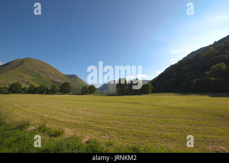 Sur la montagne à travers un champ d'agriculteurs dans le Parc National de Lake District en Angleterre Banque D'Images