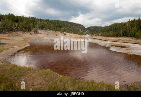 Dans la partie inférieure du lac Firehole Geyser Basin dans le Parc National de Yellowstone dans le Wyoming United States Banque D'Images