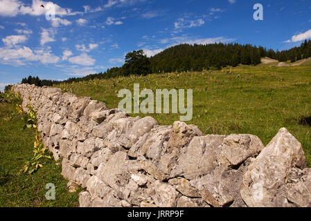 Paysage des montagnes du Jura, Les Rousses, La Dôle mountain, Franche-Comté, Jura, (France) Banque D'Images