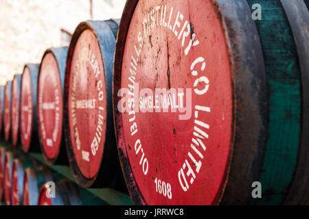 Centre des Visiteurs de Whiskey Bushmills Banque D'Images