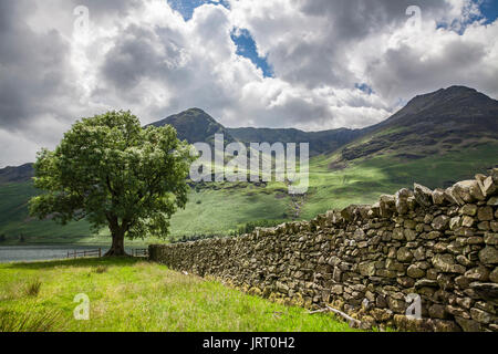 Sur le lac Buttermere vers Crag (à gauche) et haut Stile (à droite) dans le Lake District Banque D'Images