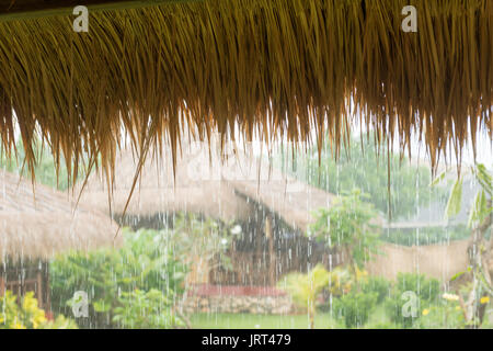 Verser la pluie tropicale Banque D'Images