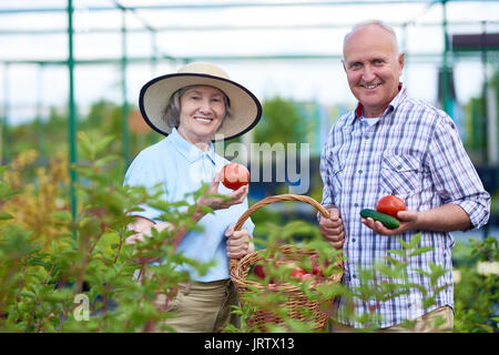 Fier Senior Couple montrant des légumes frais dans le jardin Banque D'Images