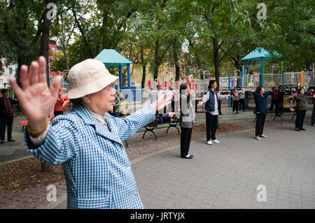 Les chinois pratiquer le tai chi à Seward Park dans le nouveau quartier branché de Lower East Side, quartier de Chinatown à New York, Manhattan, New York, USA Banque D'Images