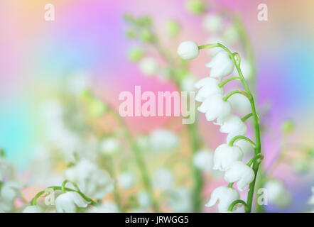 Close-up of le muguet Banque D'Images