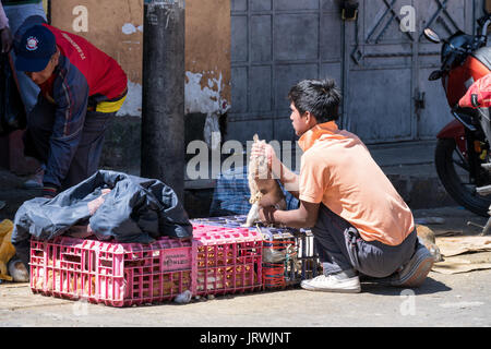 Vente d'animaux vivants pour l'alimentation en Huaraz, Pérou Banque D'Images