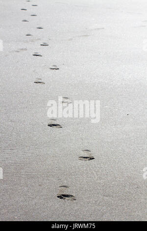 Des traces de pas dans le sable d'une seule personne portant des chaussures et traversant une plage vers l'appareil photo Banque D'Images