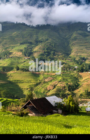 Coucher du soleil dans les rizières en terrasses à proximité du village lao chai. trekking sapa au Vietnam. lao chai. Banque D'Images