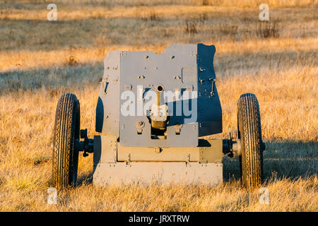 Canon anti-char allemand qui a tiré un obus de calibre 3,7 cm. C'était la principale arme anti-char des unités d'infanterie de la Wehrmacht jusqu'à la mi-1941. Anti-char allemand Banque D'Images