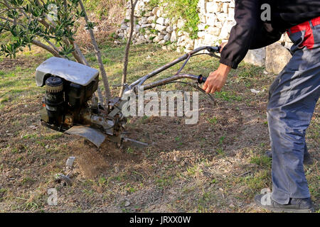 Agriculteur laboure la terre avec motocultivator Banque D'Images