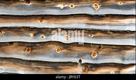 La texture de fond des bardeaux de bois patiné avec noeuds sur un bâtiment colonial Banque D'Images