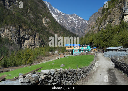 Trekkers lodge en construction sur le sentier passant par Talekhu, région de l'Annapurna, au Népal. Banque D'Images