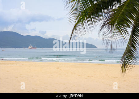 Feuilles de palmier et plage tropicale sur image Banque D'Images