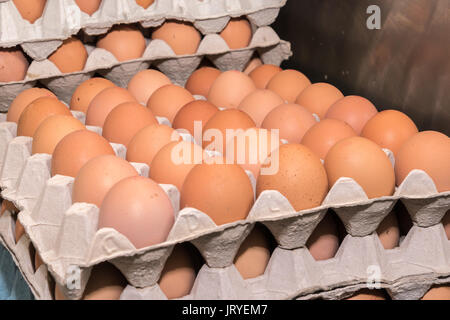 Les oeufs de poule dans les bacs empilés Banque D'Images