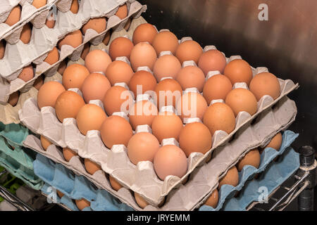 Les oeufs de poule dans les bacs empilés Banque D'Images