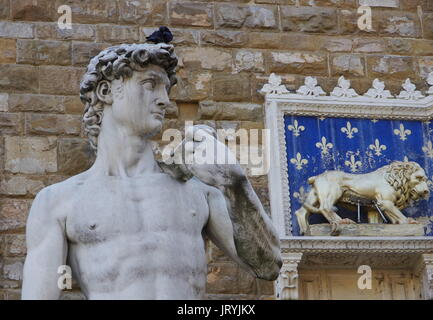 Florence,IL - 05 août 2017 - un pigeon se repose sur la tête de la statue de David sur la piazza della Signoria à Florence. Banque D'Images