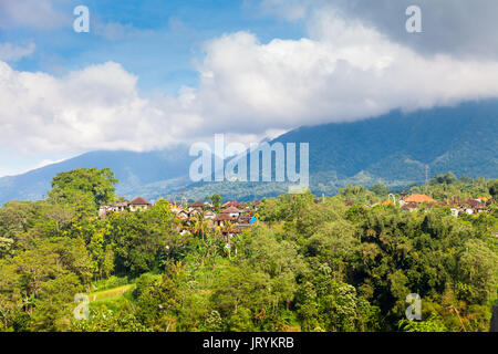 Rizières spectaculaires dans la jungle et la montagne près de ubud à Bali Banque D'Images