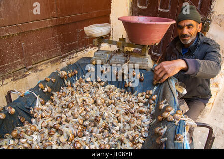 Scène de la vie de la rue. Man selling escargots, Souk, Médina de Fès, Fes el Bali. Le Maroc, Maghreb, Afrique du Nord Banque D'Images