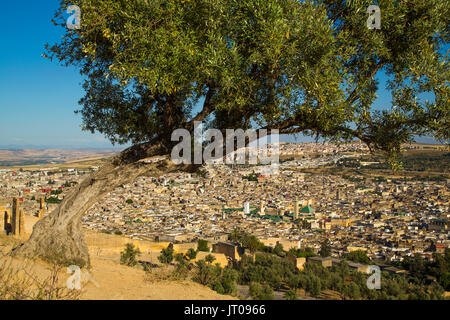 Paysage, vue panoramique, Souk, Médina de Fès, Fes el Bali. Le Maroc, Maghreb, Afrique du Nord Banque D'Images