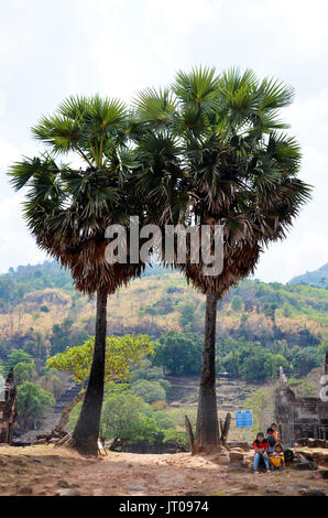 Peuple laotien assis et vous détendre près de Borassus flabellifer ou palm palmyre après visite du site archéologique à Vat Phou ou Wat Phu le 1 mai 2015 Banque D'Images