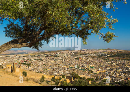 Paysage, vue panoramique, Souk, Médina de Fès, Fes el Bali. Le Maroc, Maghreb, Afrique du Nord Banque D'Images