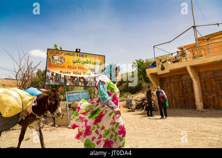 Femme sur le terrain avec un âne. Village de montagne de Tilmi. Vallée de la Dadès, Gorges de la Dadès, Haut Atlas. Maroc, Maghreb Afrique du Nord Banque D'Images