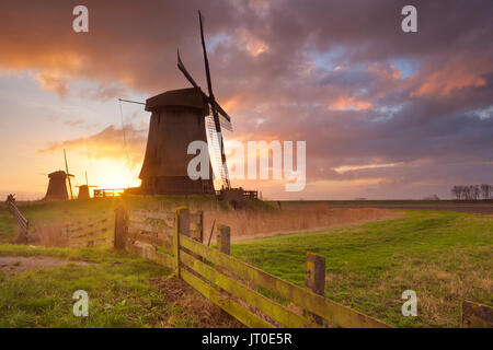 Moulins à vent traditionnel néerlandais au lever du soleil près de Schermerhorn aux Pays-Bas. Banque D'Images