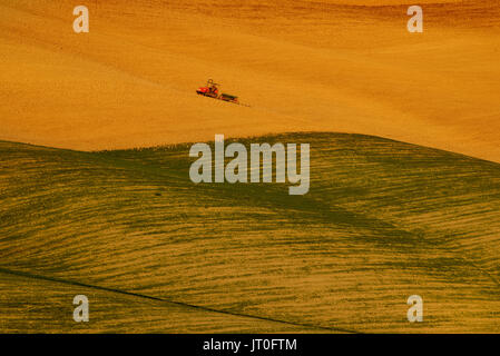 Le tracteur sur le terrain Banque D'Images