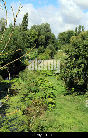 Sur les hortillonnages du boulevard de Beauville, Amiens, somme, hauts de france, france Banque D'Images