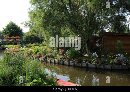 Les jardins flottants de les hortillonnages de sentier à proximité du chemin du malaquis à Amiens, somme, hauts de france, france Banque D'Images